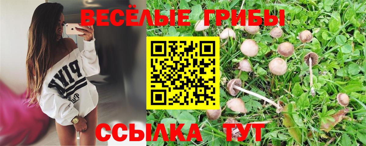 Псилоцибиновые грибы MAGIC MUSHROOMS  Псилоцибиновые грибы ЛСД  Петрозаводск  Вход с VPN 