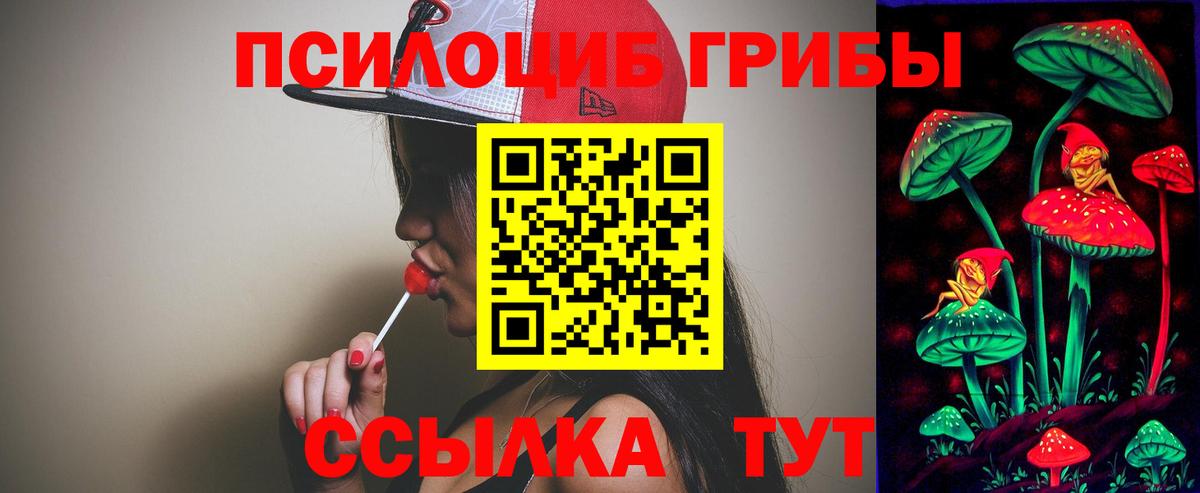 Галлюциногенные грибы ЛСД Петрозаводск